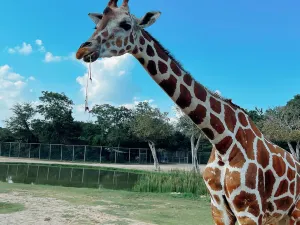 Kanchanaburi Wildlife Park