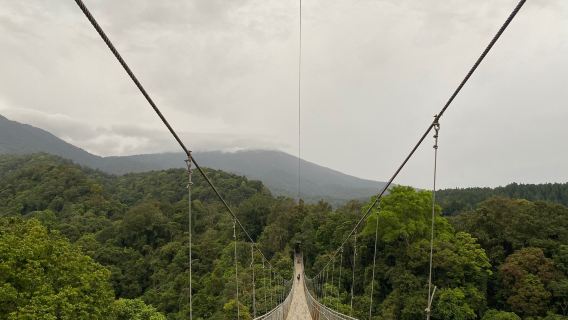 Situ Gunung Suspension Bridge