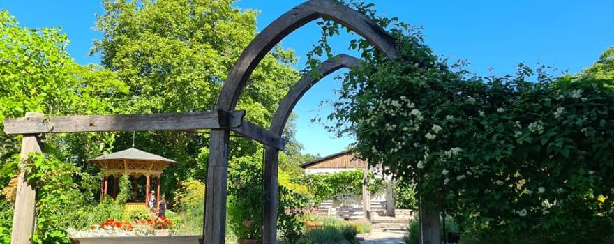 DBW's Botanical Garden