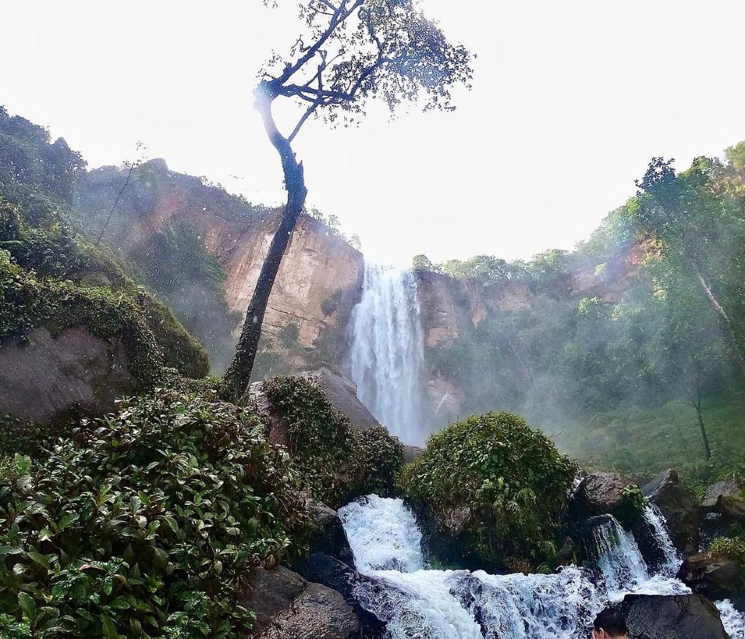 Agua Branca