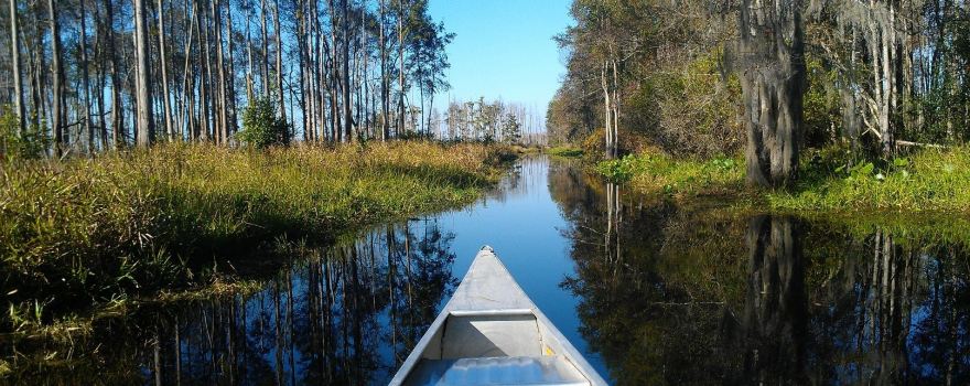 Stephen C Foster State Park