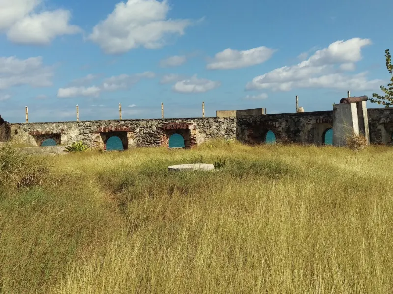 Lucea
