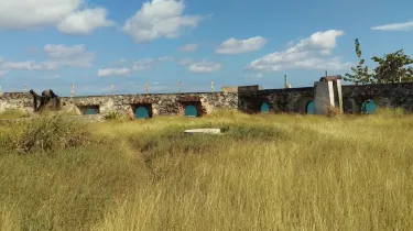 Lucea