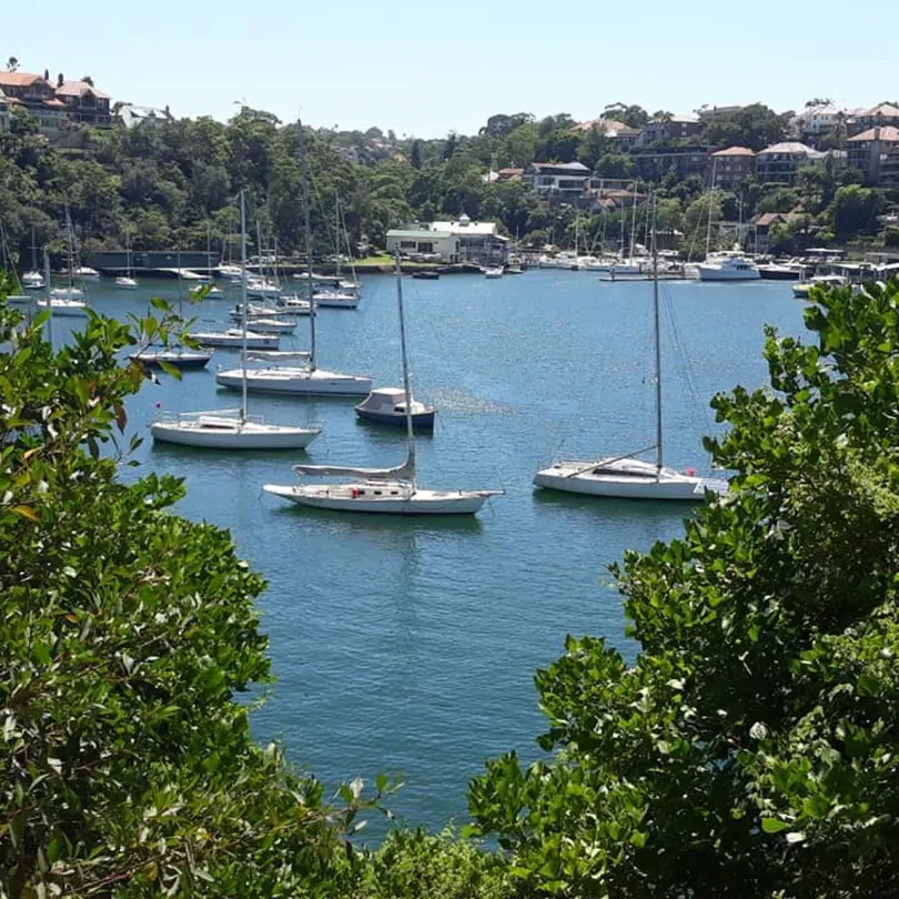 4_Cremorne Point to Mosman Bay Walk