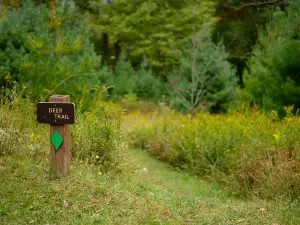 Little Beaver State Park
