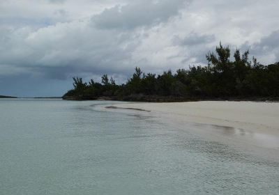 Great Abaco