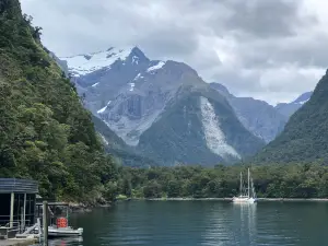 Southern Discoveries - Milford Sound Cruises