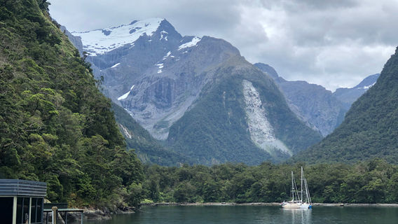 Southern Discoveries - Milford Sound Cruises