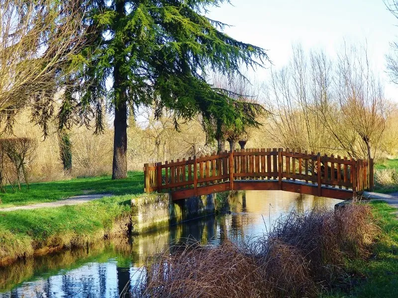 The Park Bouvaque