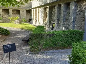 Criptoportico Forense