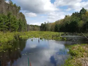 Wells State Park