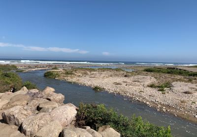 Humedal del Río Lluta