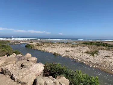 Humedal del Rio Lluta