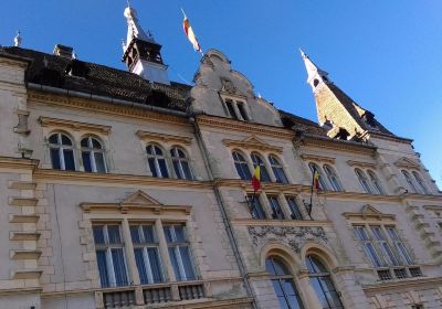 The History Museum