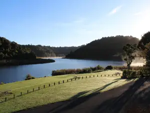 Rotokare Scenic Reserve