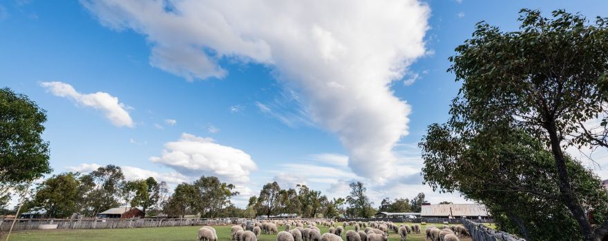 The Woolshed at Jondaryan