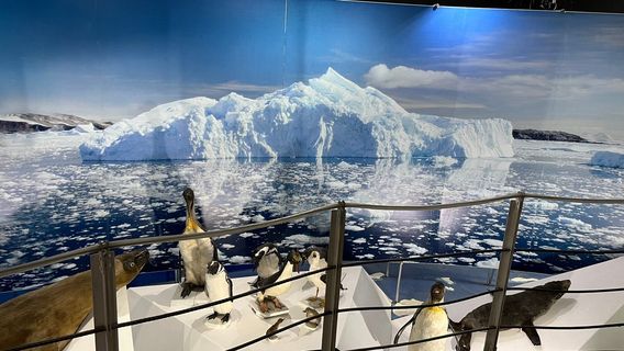 Museo Salesiano / Magiorinno Borgatello