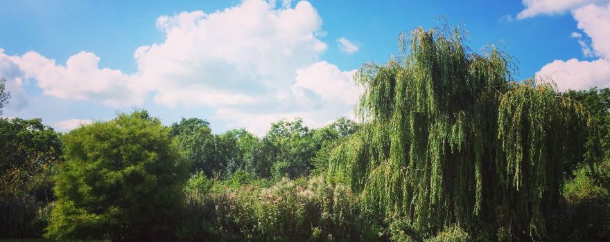 Sumners Ponds Fishery & Campsite
