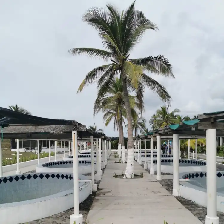 El Tortugugario附近的飯店