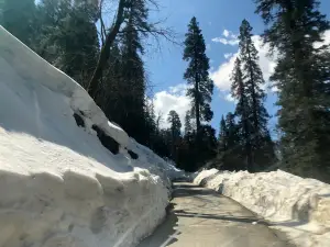 Jalori Pass