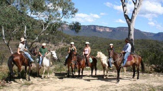 Megalong Valley Farm