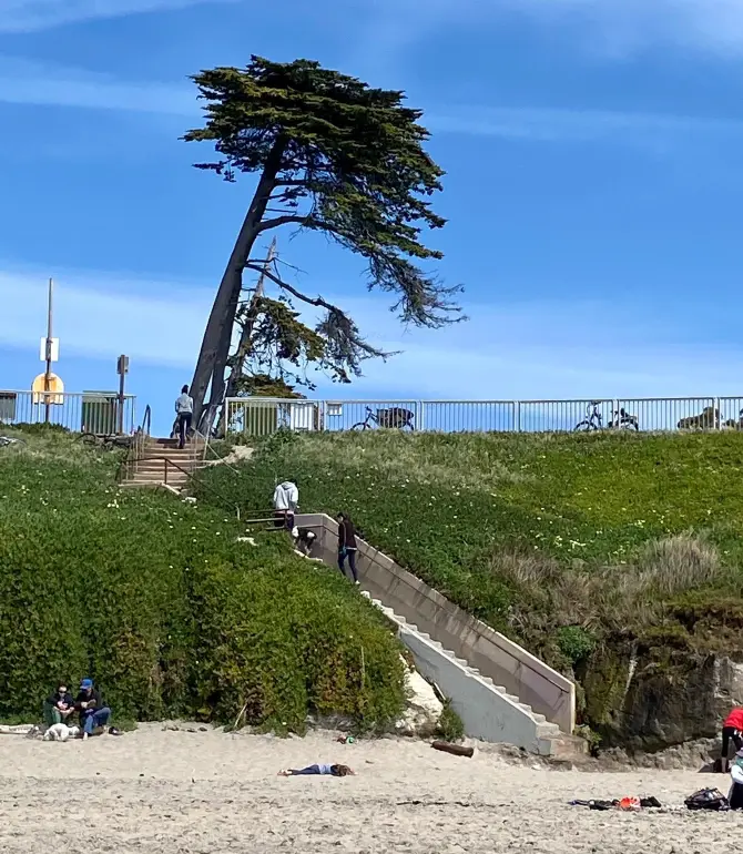 Santa Cruz