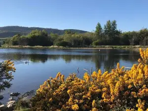 Lochore Meadows