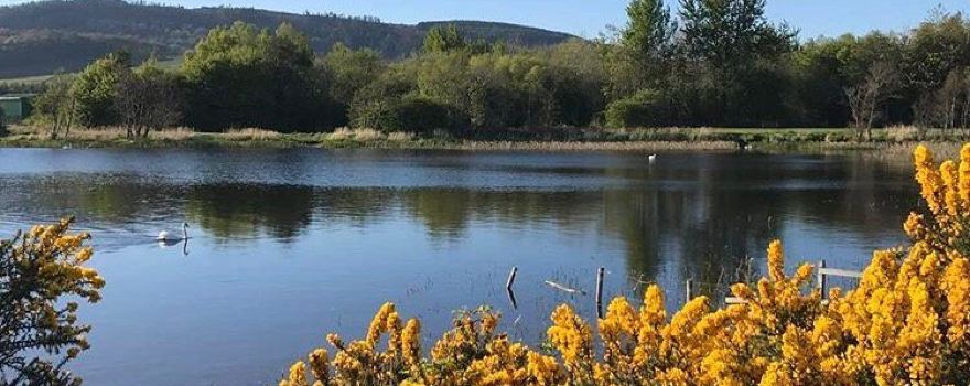 Lochore Meadows