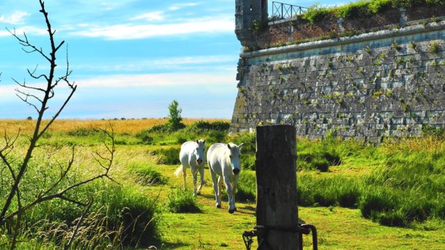 Citadelle de Brouage