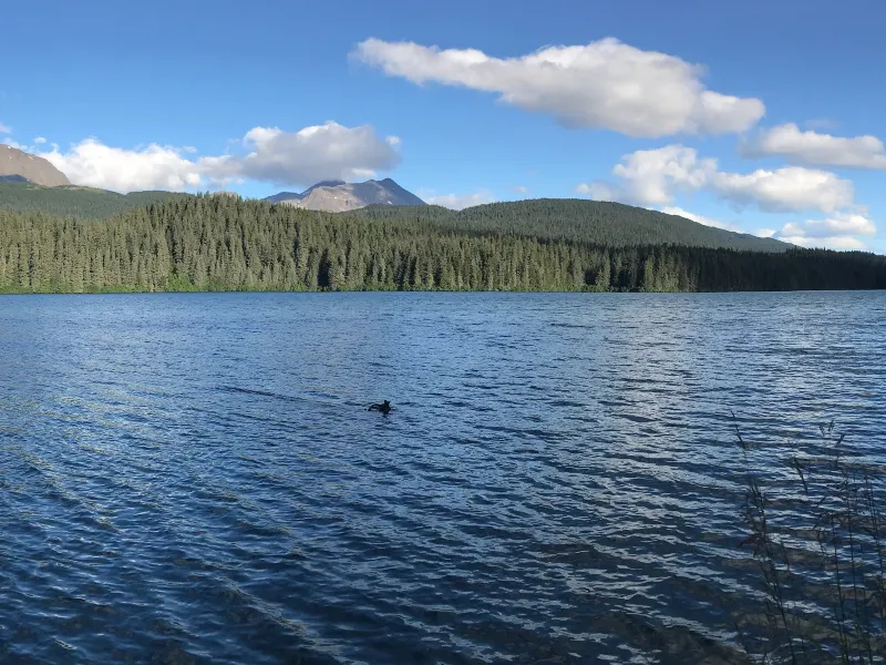 Bear Creek