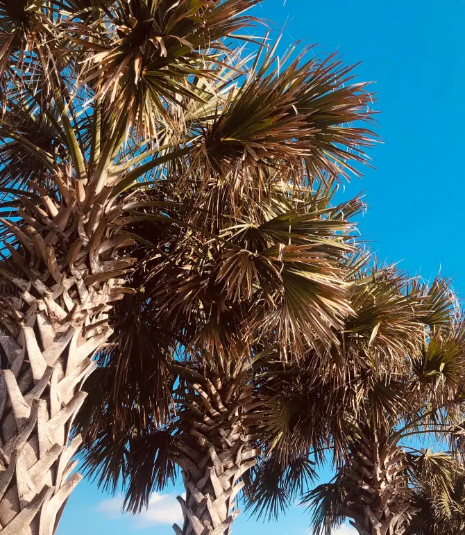 Ocean Isle Beach