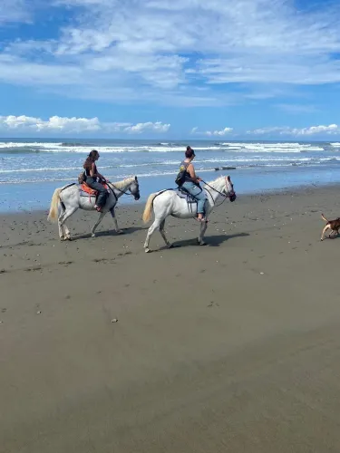 Isla Damas