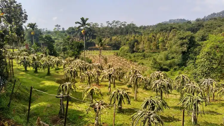 Hotel dekat Toko Bumbu Uda Chan 2