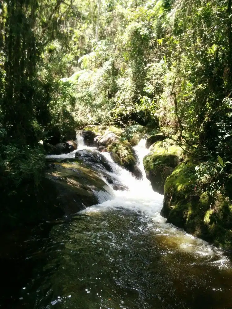 Hotels in Visconde De Maua