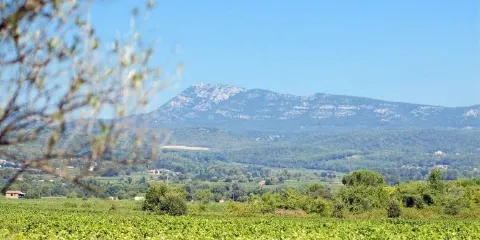 Domaine du Clos Gautier