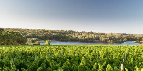 Sandalford Wines Margaret River