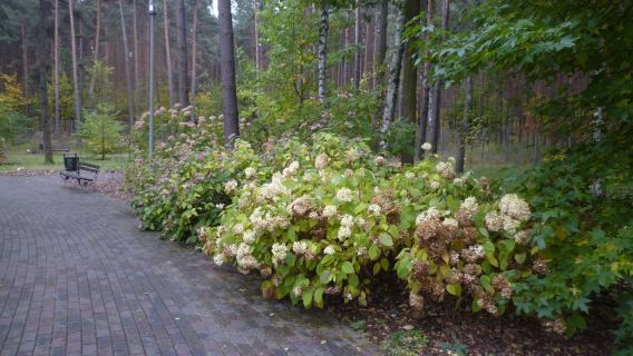 Botanical Garden of the University of Zielona Gora