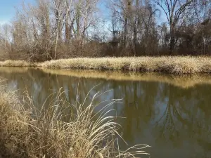 Sequoyah National Wildlife Refuge