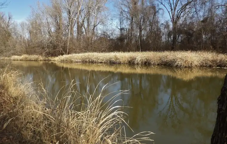 Sequoyah County