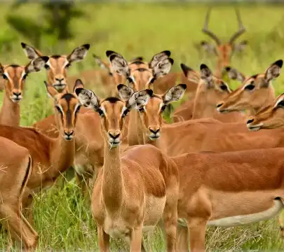 胡德斯普雷特酒店