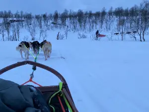 Husky Isogaisa