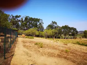 Corsica Zoo