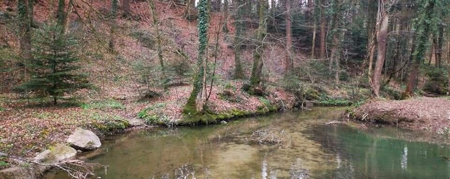 Benzenschwiler Kinderweg