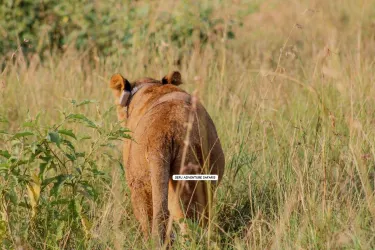 Queen Elizabeth National Park