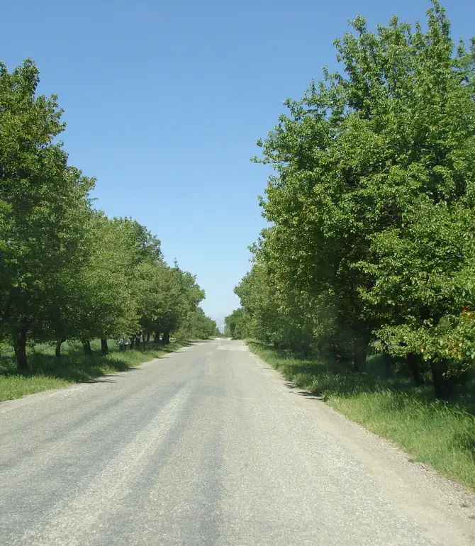 Uzumlu