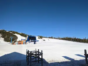 White Hills Resort