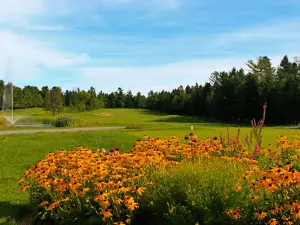 Club de Golf & Curling de Thetford Inc