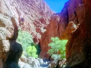 Devil's Door
