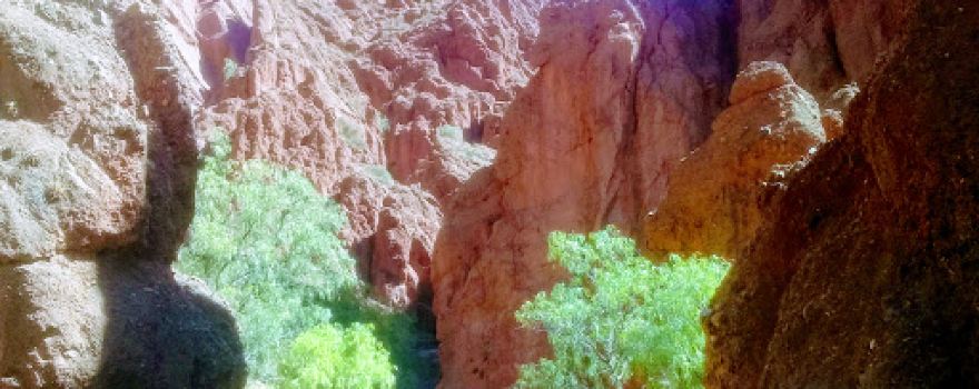 Devil's Door