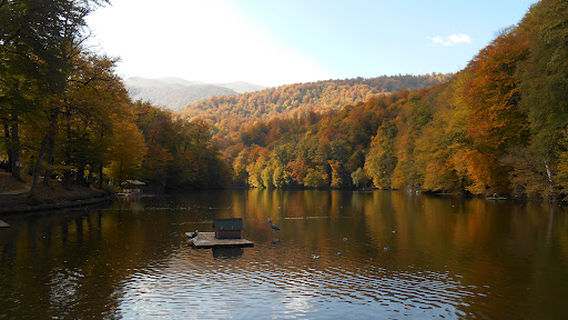 Dilijan